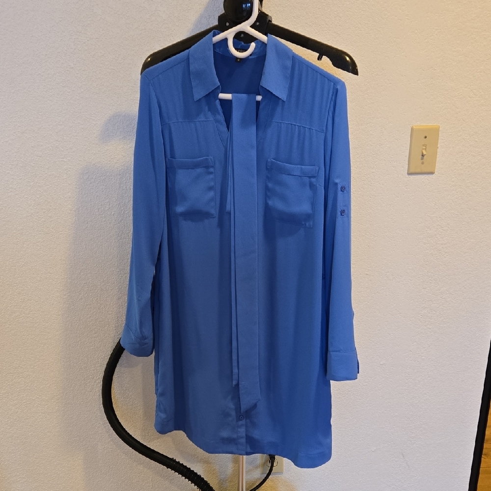 Express Blue Long Sleeve Dress